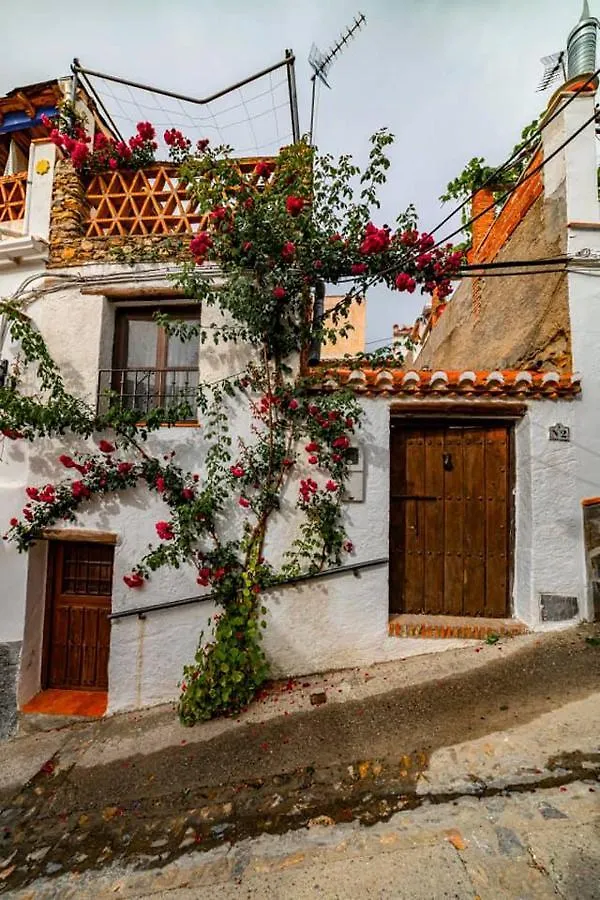 Villa Casa Fuensanta balcón al mar de la Alpujarra Granada Chalet